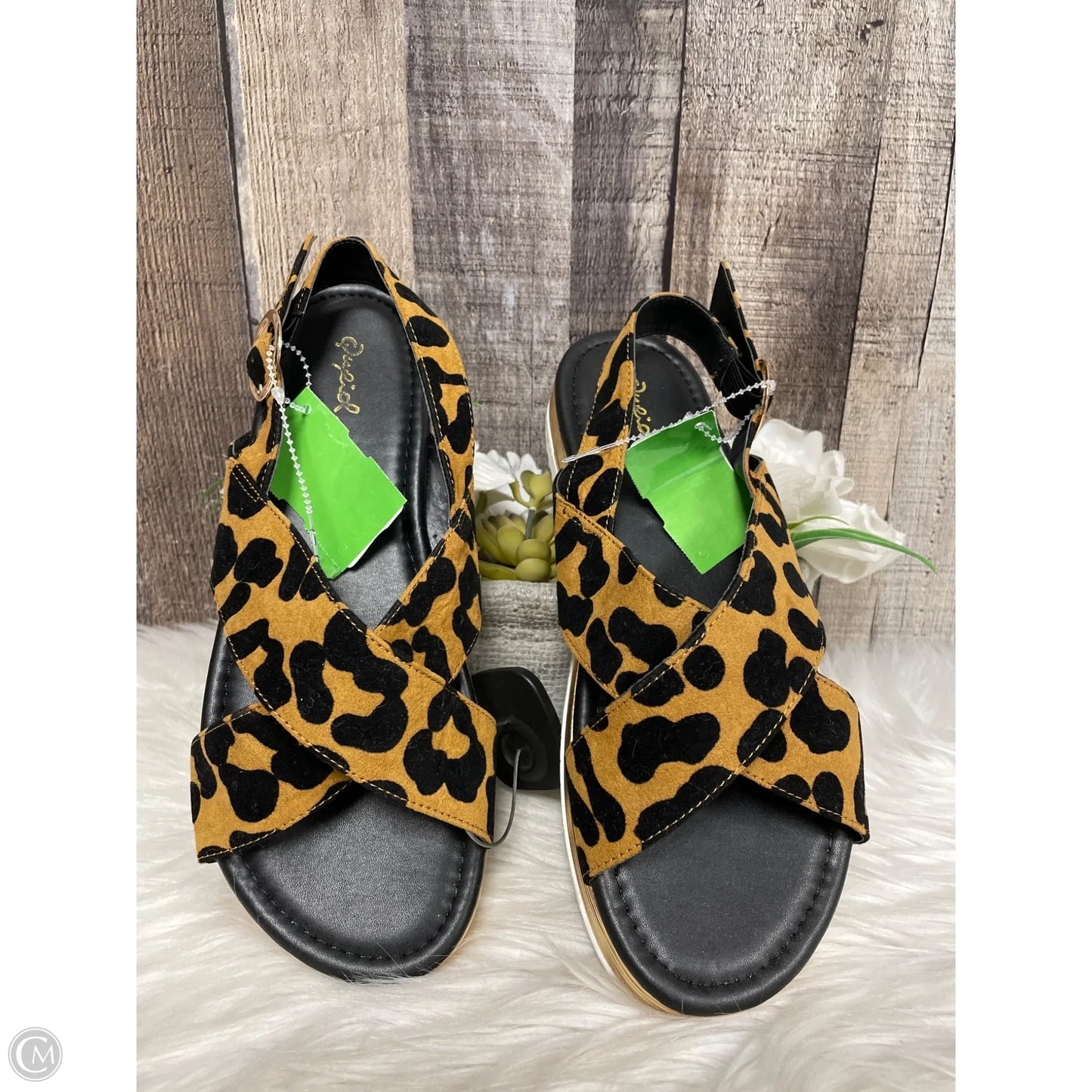 Sandals Heels Platform By Qupid In Animal Print, Size: 8