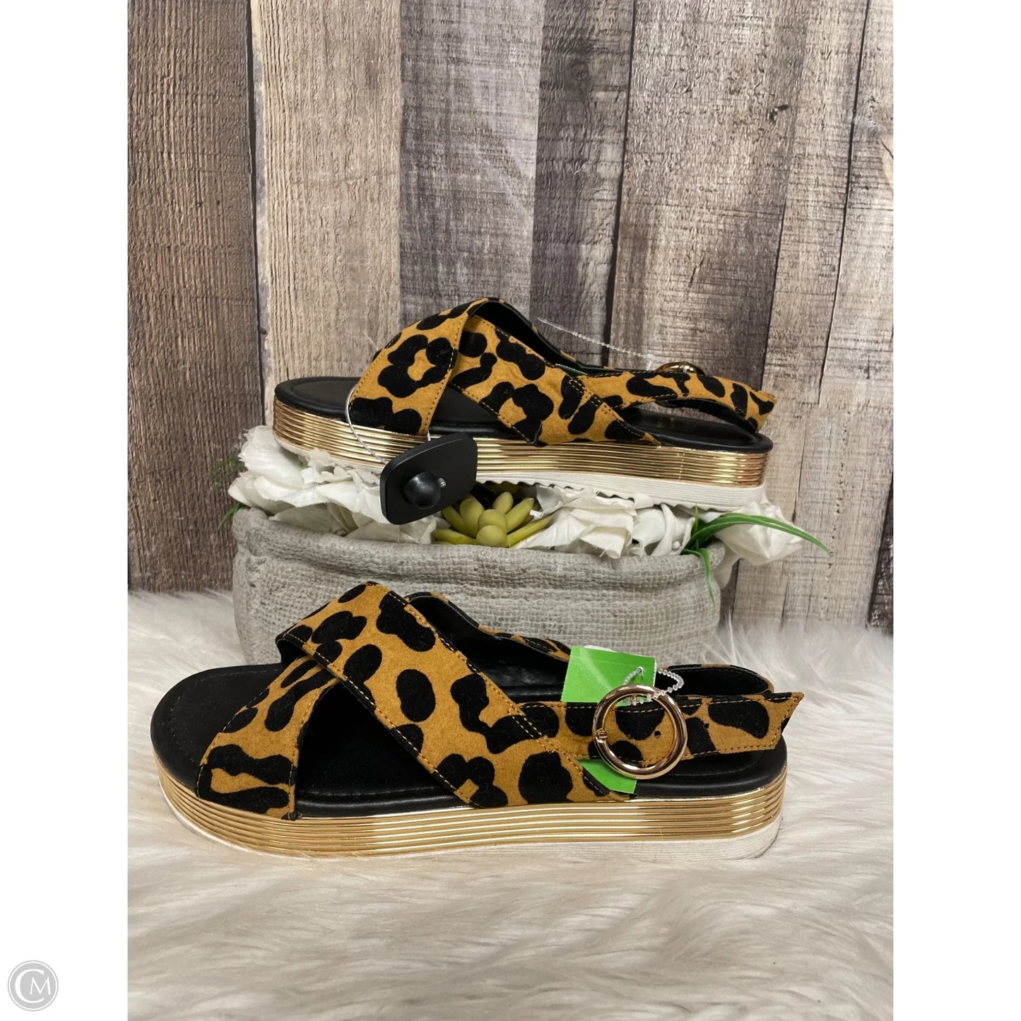 Sandals Heels Platform By Qupid In Animal Print, Size: 8
