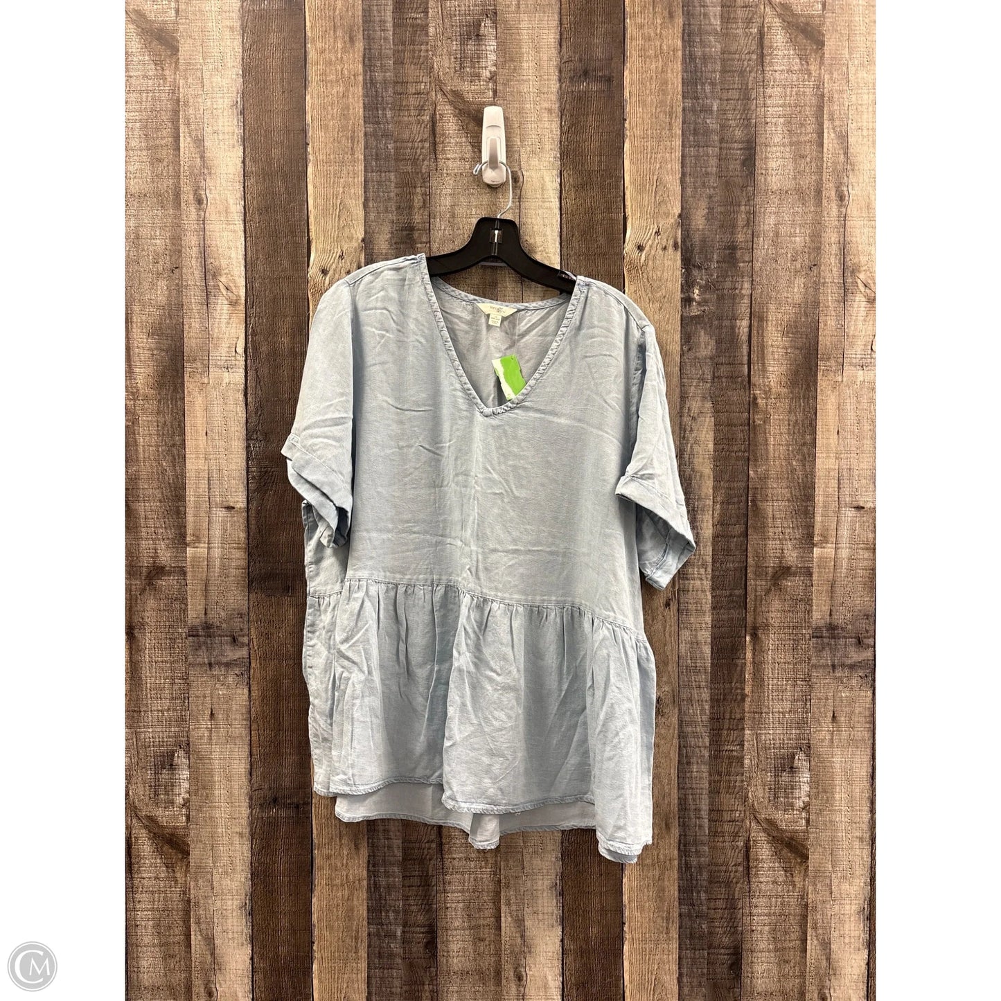 Top Short Sleeve By Terra & Sky In Blue, Size: 1x