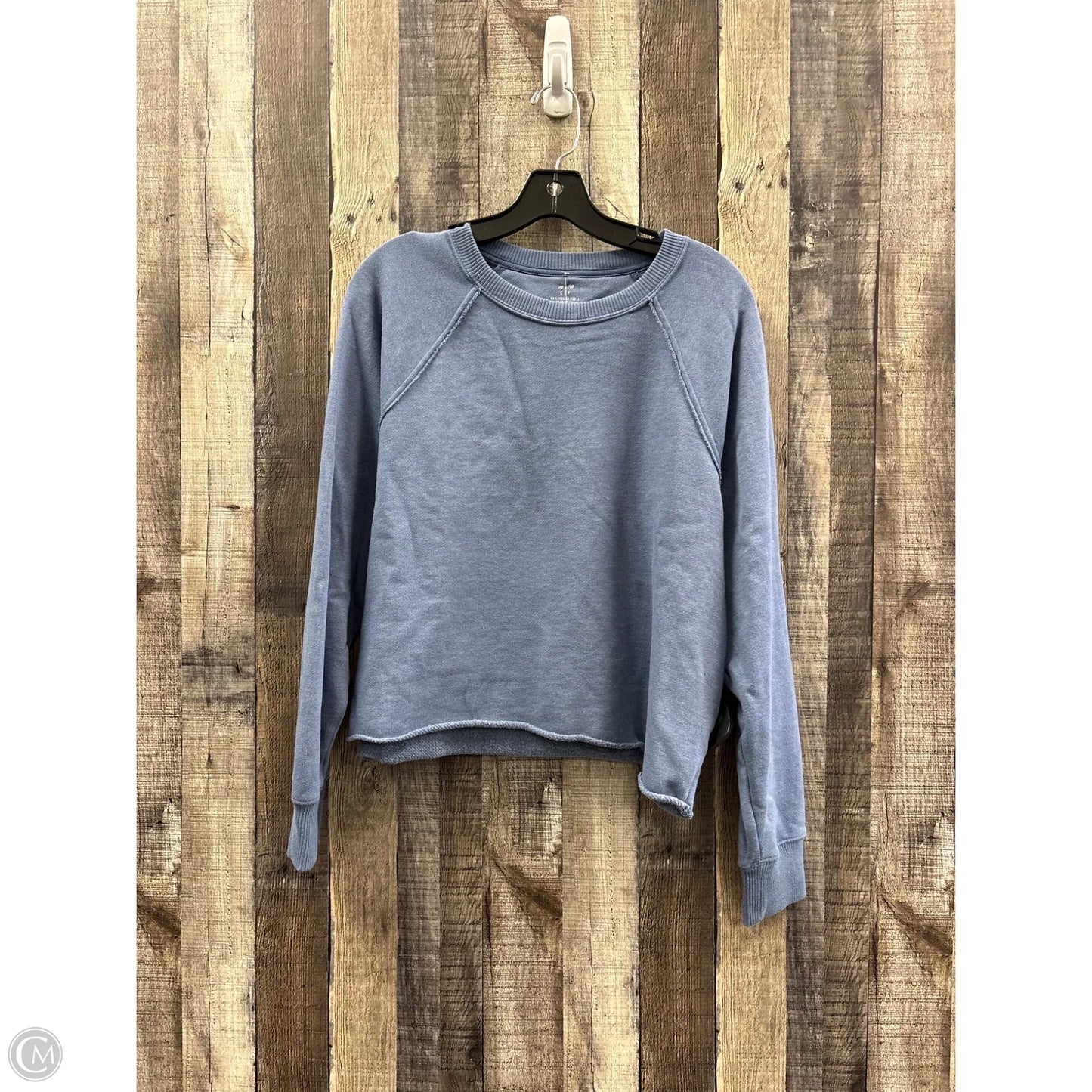 Sweatshirt Crewneck By Aerie In Blue, Size: S