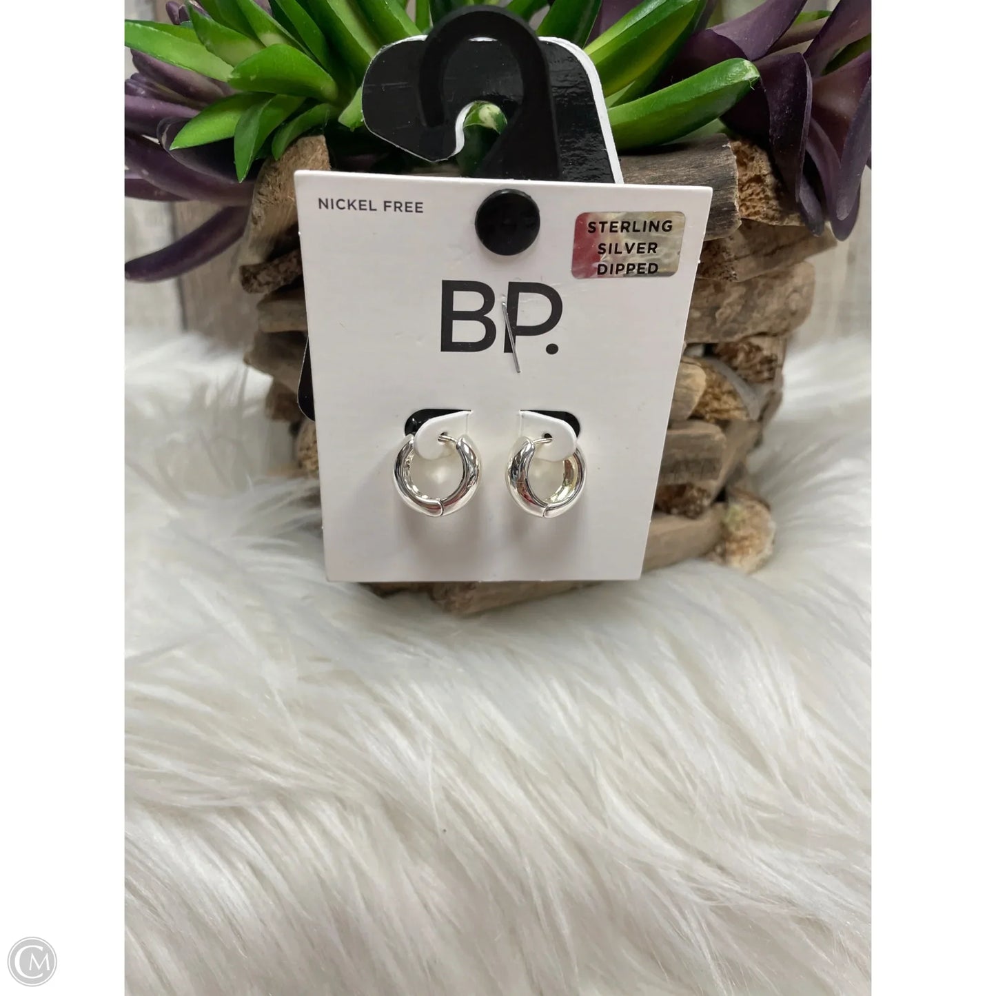 Earrings Hoop By Bp