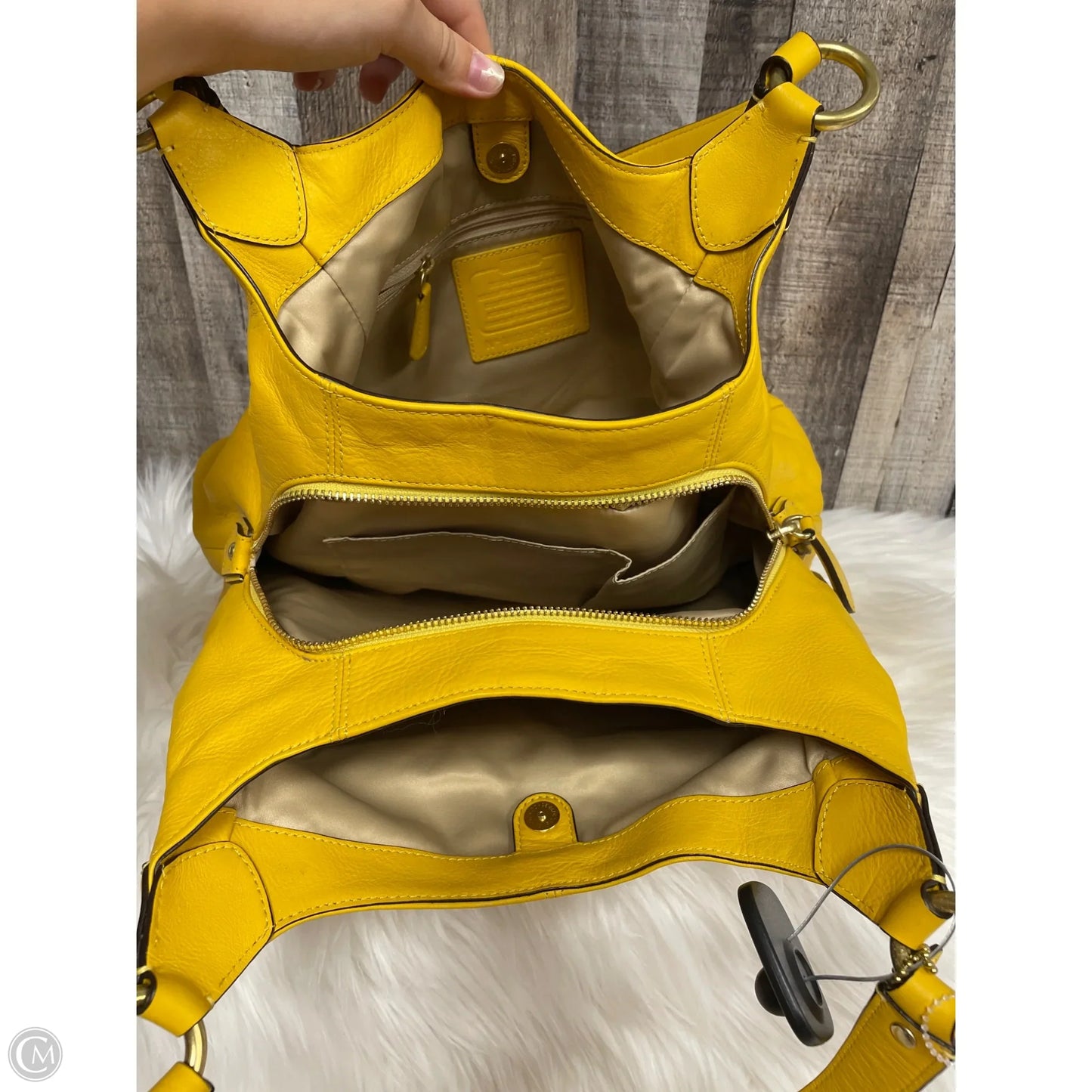Handbag Designer By Coach, Size: Medium