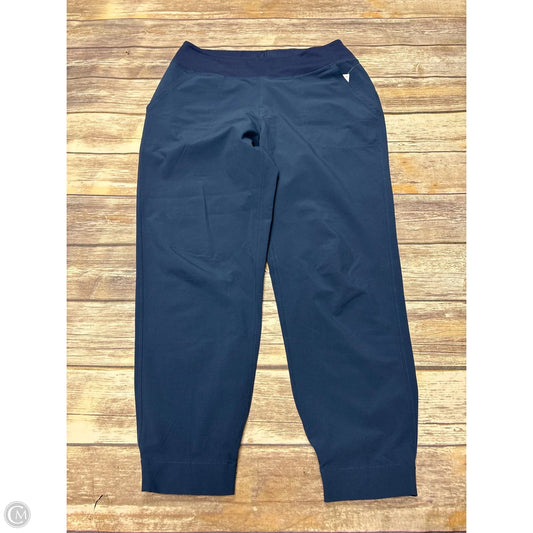 Athletic Pants By Patagonia In Blue, Size: M