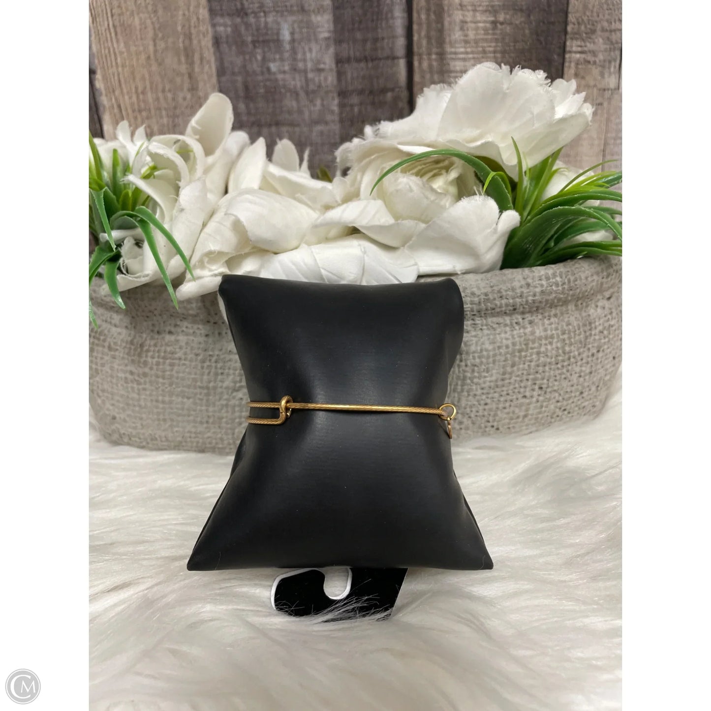 Bracelet Bangle By Alex And Ani