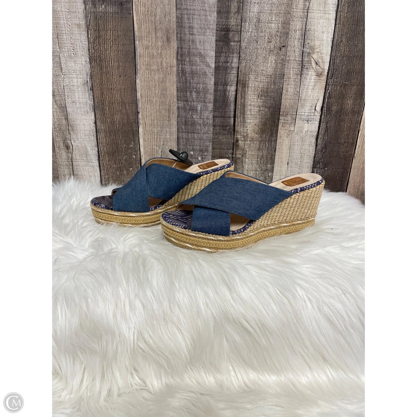 Sandals Heels Wedge By Cme In Blue, Size: 7.5