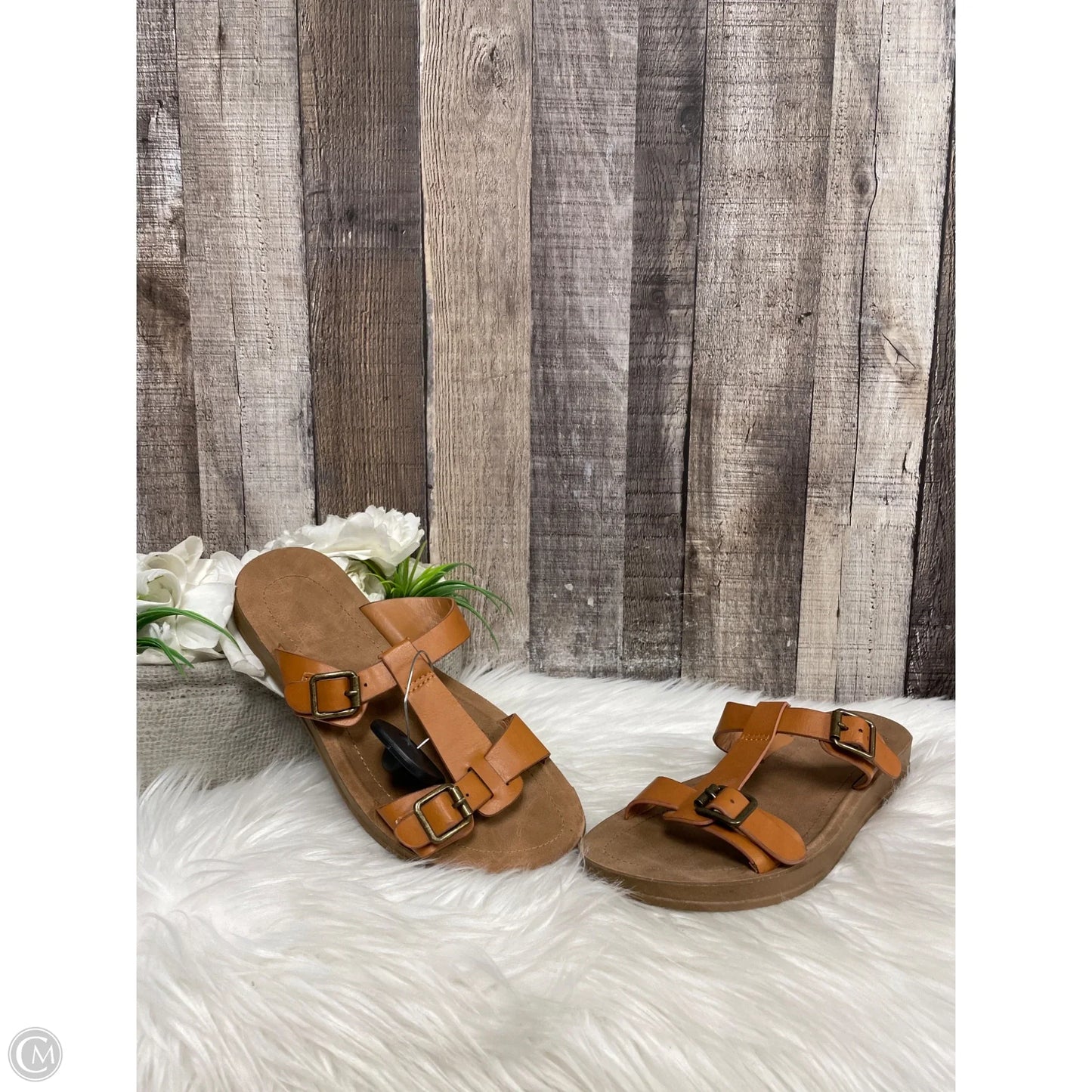 Sandals Flats By Cmf In Tan, Size: 7