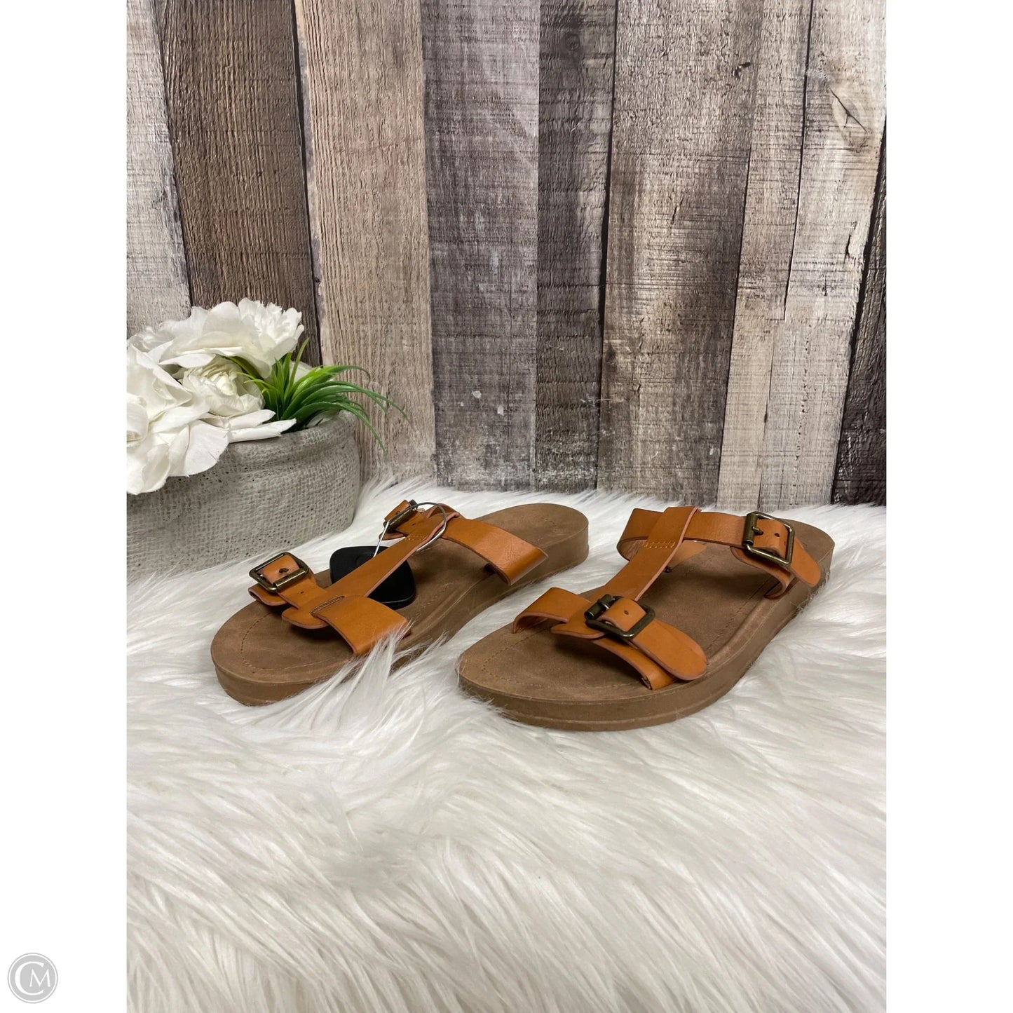 Sandals Flats By Cmf In Tan, Size: 7