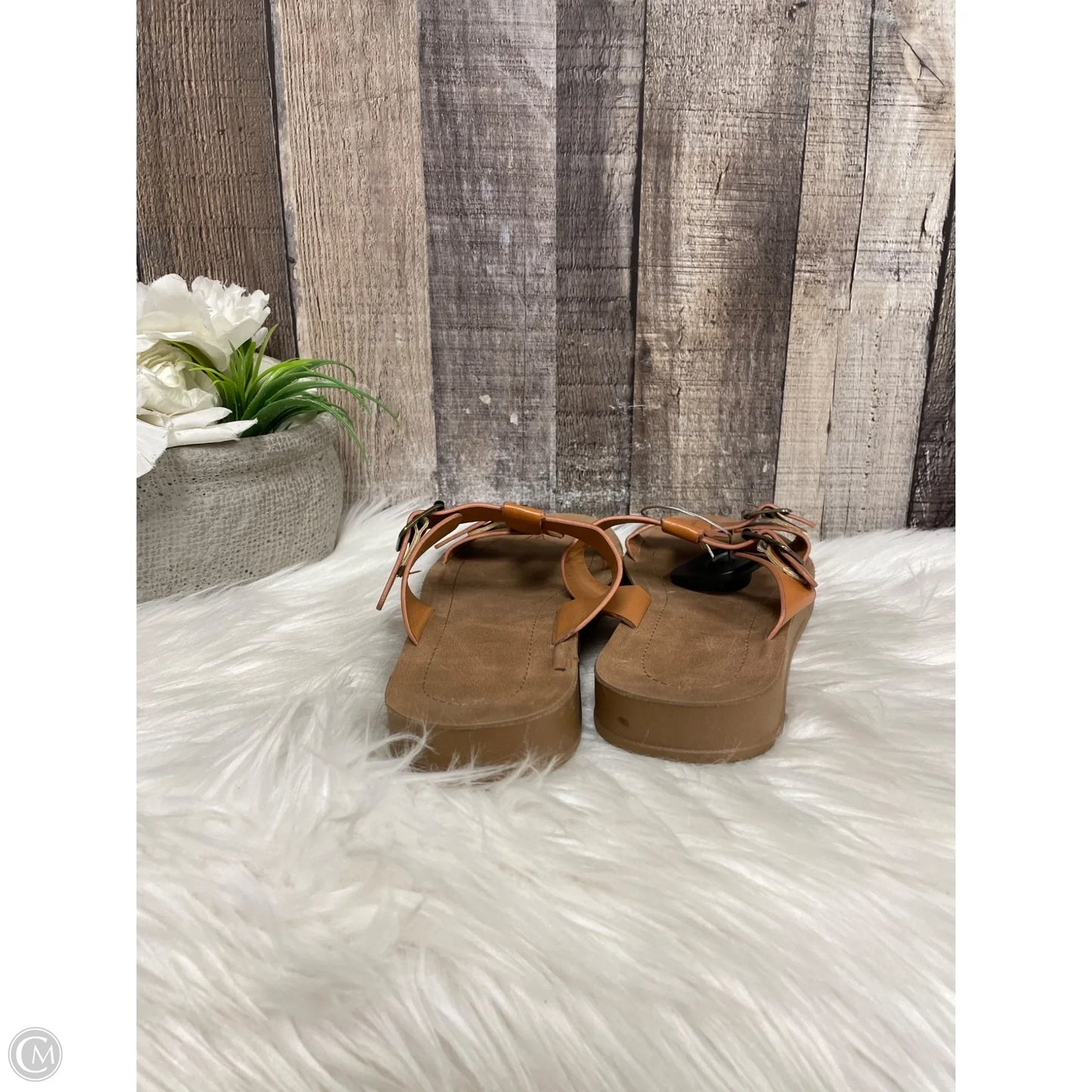 Sandals Flats By Cmf In Tan, Size: 7
