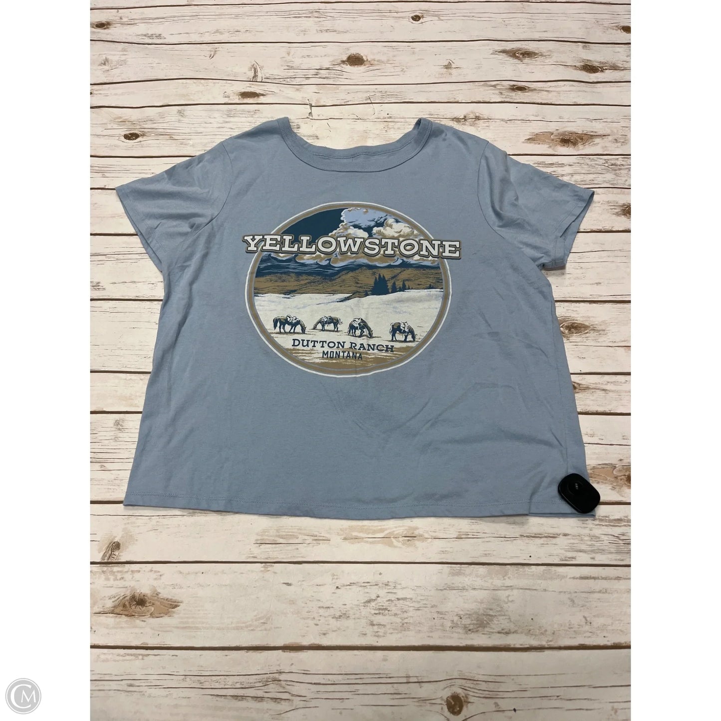 Top Short Sleeve By Cme In Blue, Size: Xxl