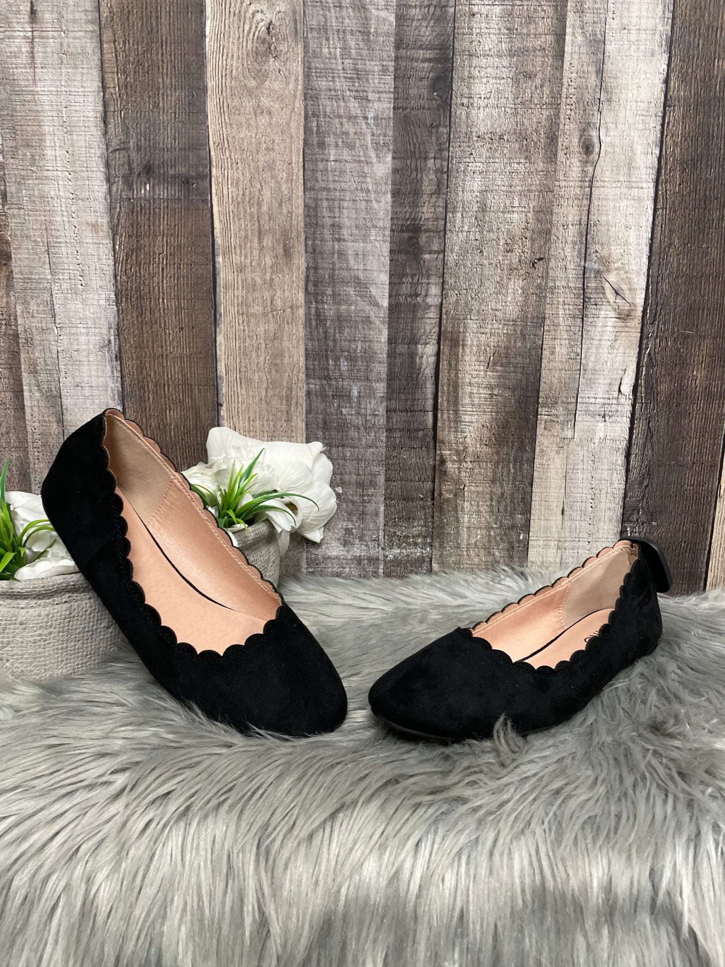 Shoes Flats By Cme In Black, Size: 9