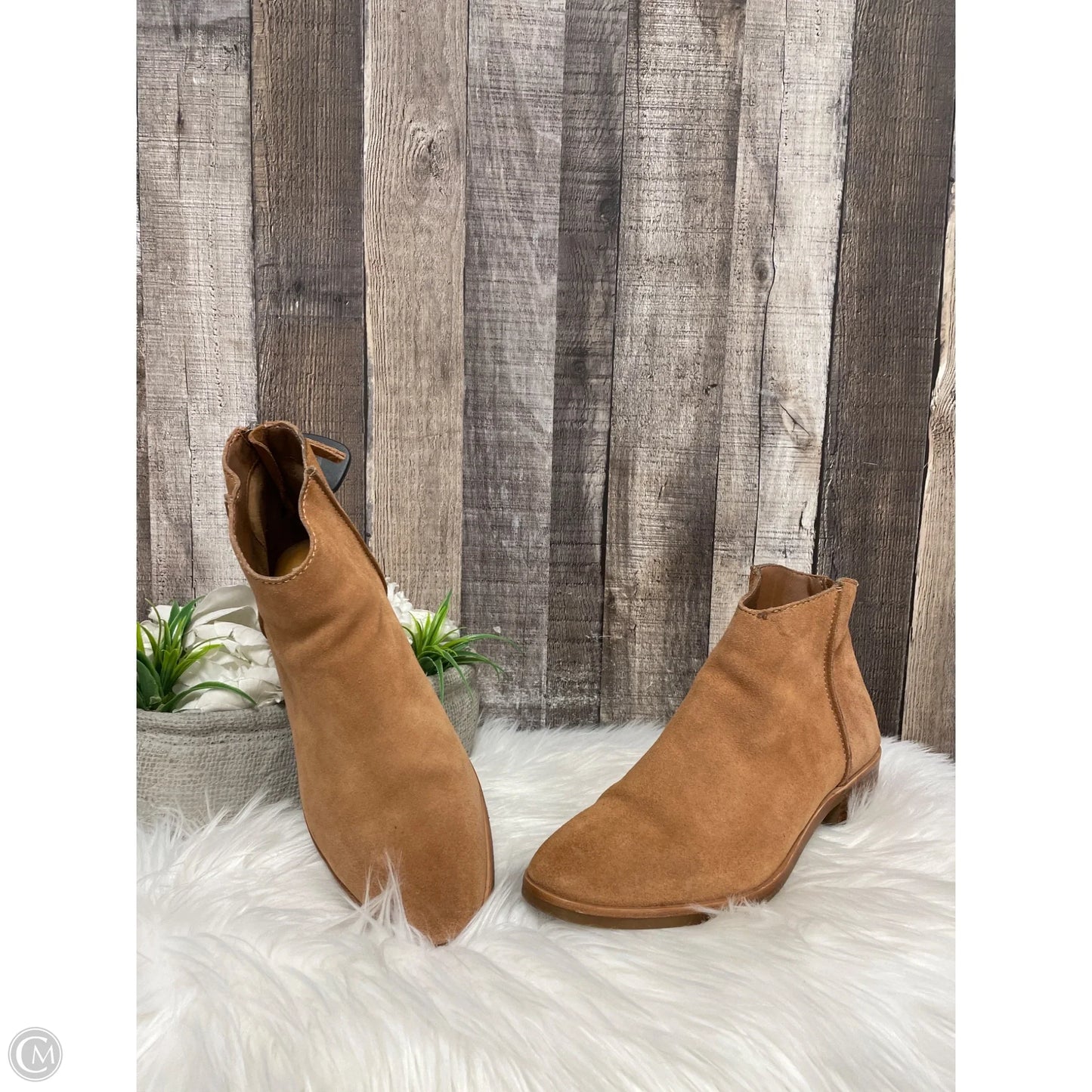 Boots Ankle Heels By Dolce Vita In Tan, Size: 11