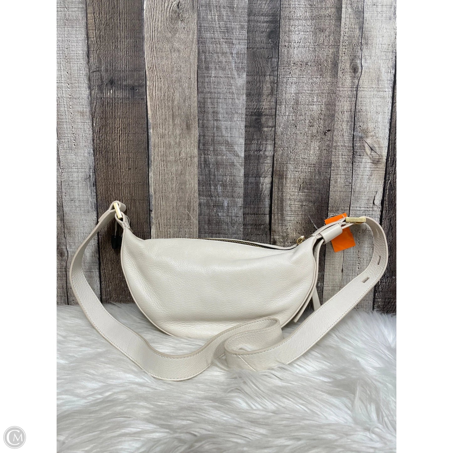 Handbag Designer By All Saints, Size: Small