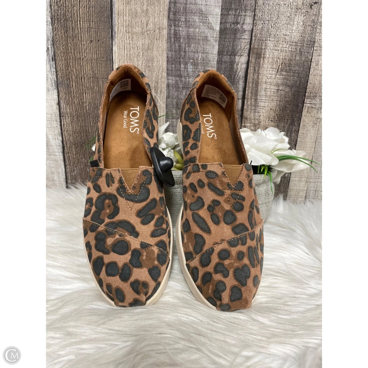 Shoes Flats By Toms In Animal Print, Size: 6.5
