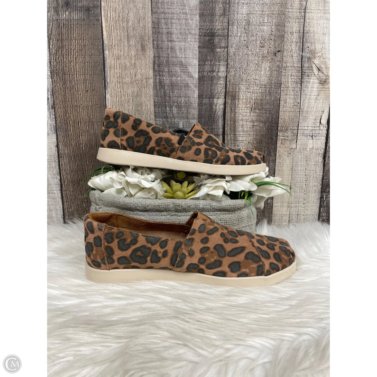 Shoes Flats By Toms In Animal Print, Size: 6.5