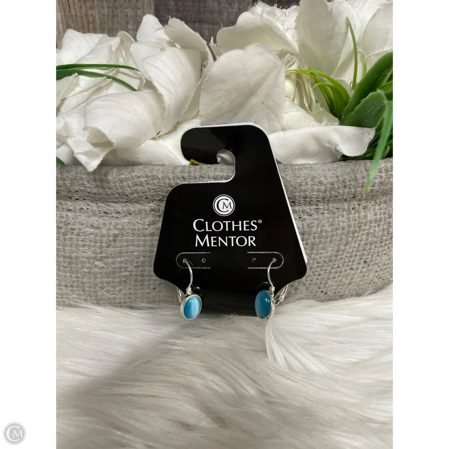Earrings Dangle/drop By Cme