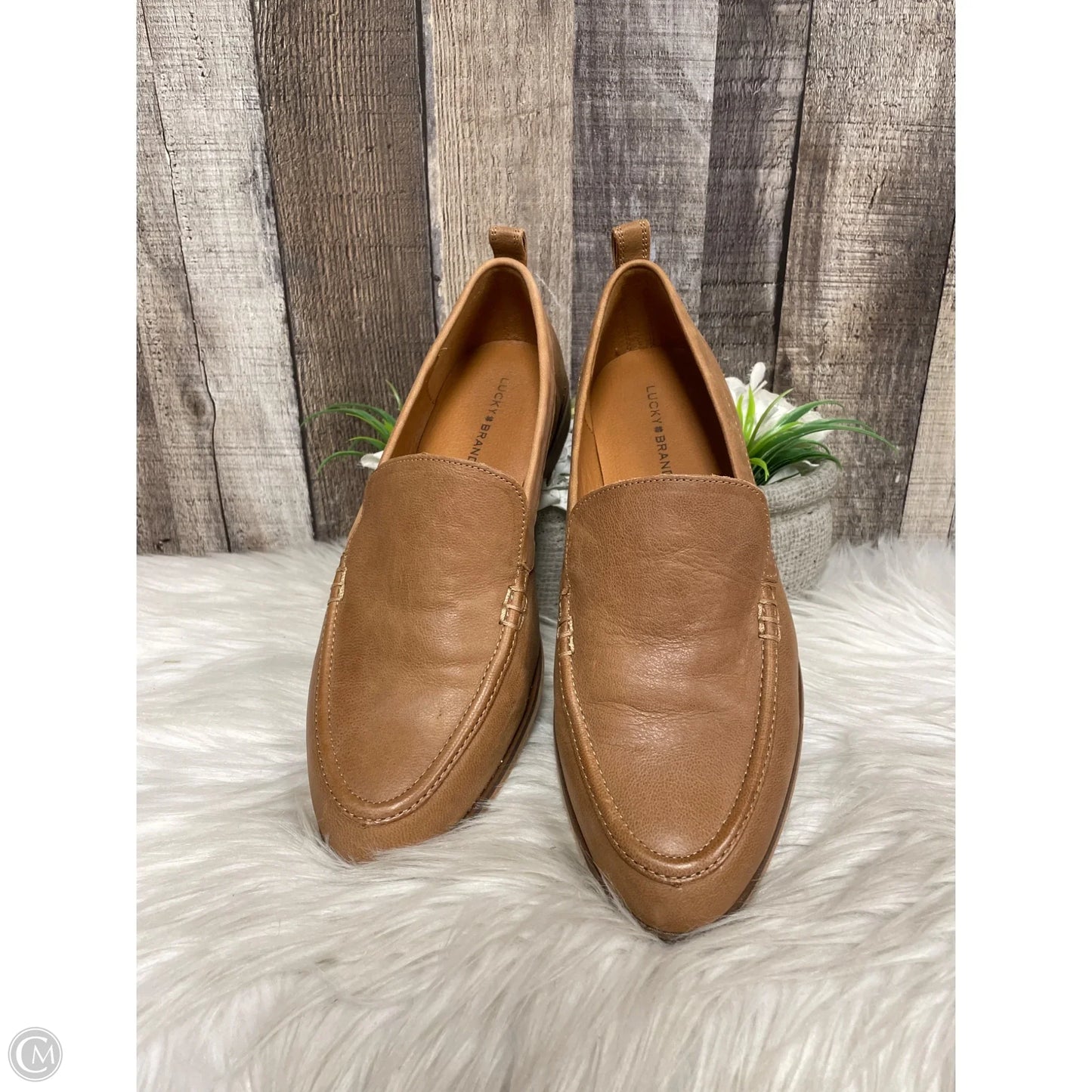 Shoes Flats By Lucky Brand In Brown, Size: 9