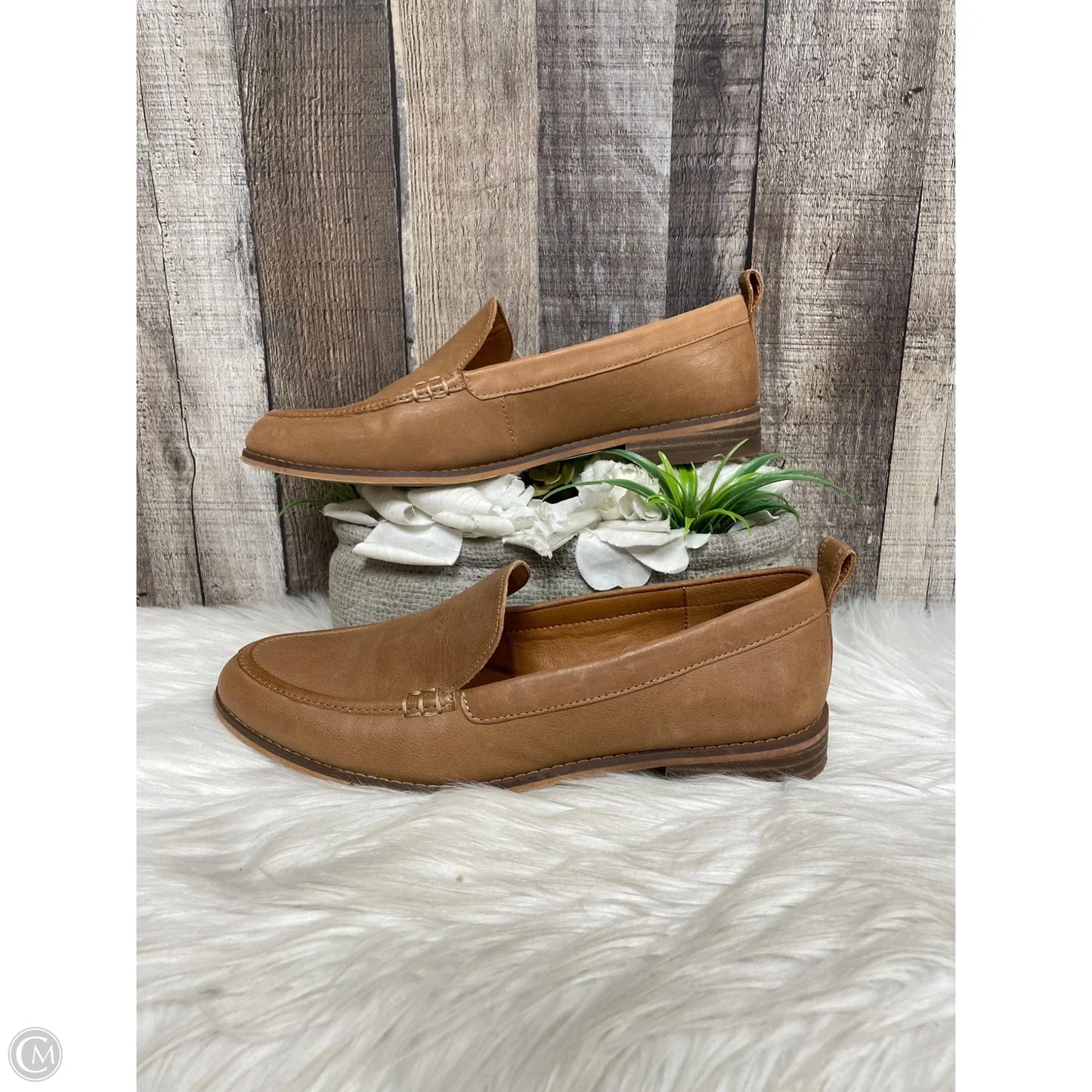 Shoes Flats By Lucky Brand In Brown, Size: 9