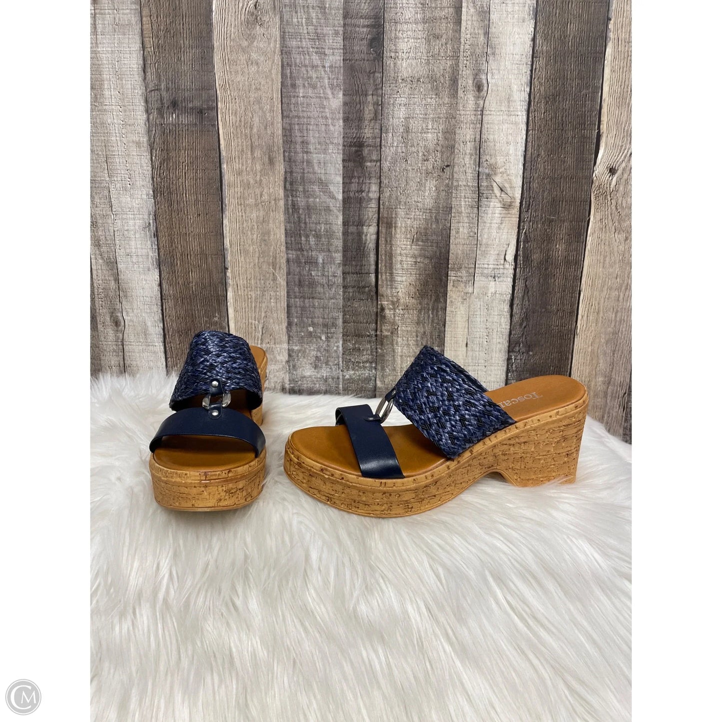 Sandals Heels Platform By Toscanella In Blue & Brown, Size: 9