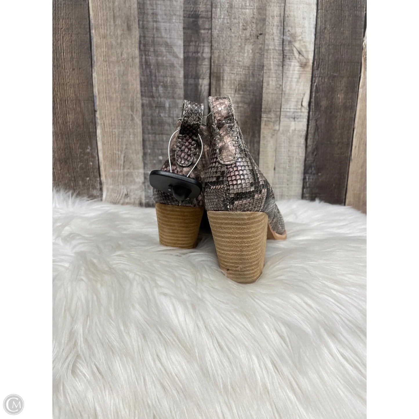 Boots Ankle Heels By Jeffrey Campbell In Snakeskin Print, Size: 9