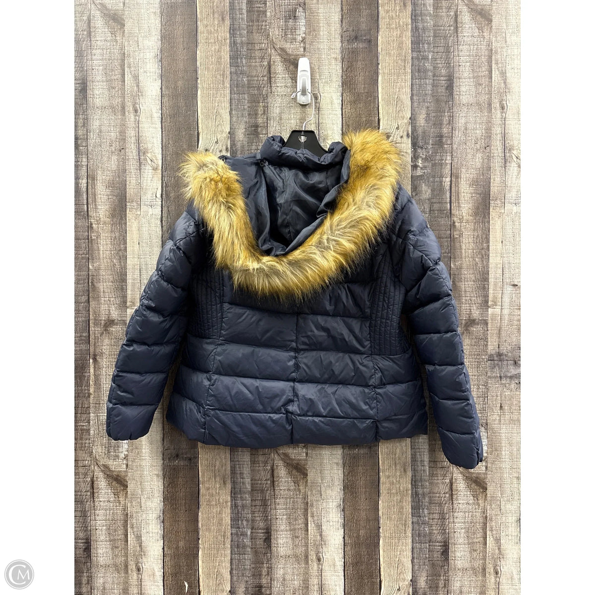 Coat Puffer & Quilted By Talbots In Navy, Size: Xlp