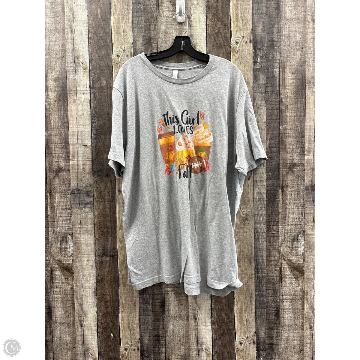 Top Short Sleeve By Canvas In Grey, Size: 3x