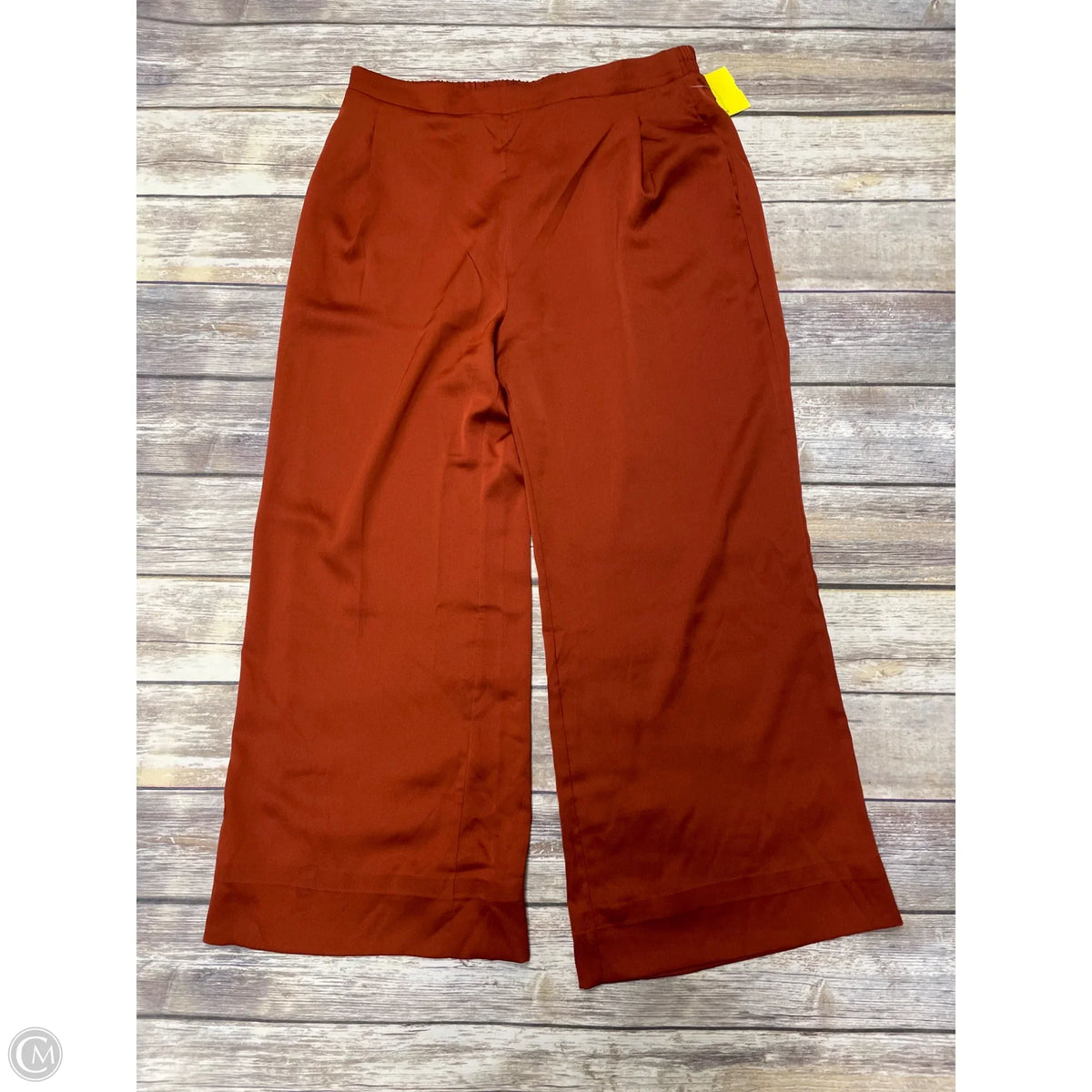 Pants Set 2pc By Nina Leonard In Bronze, Size: L