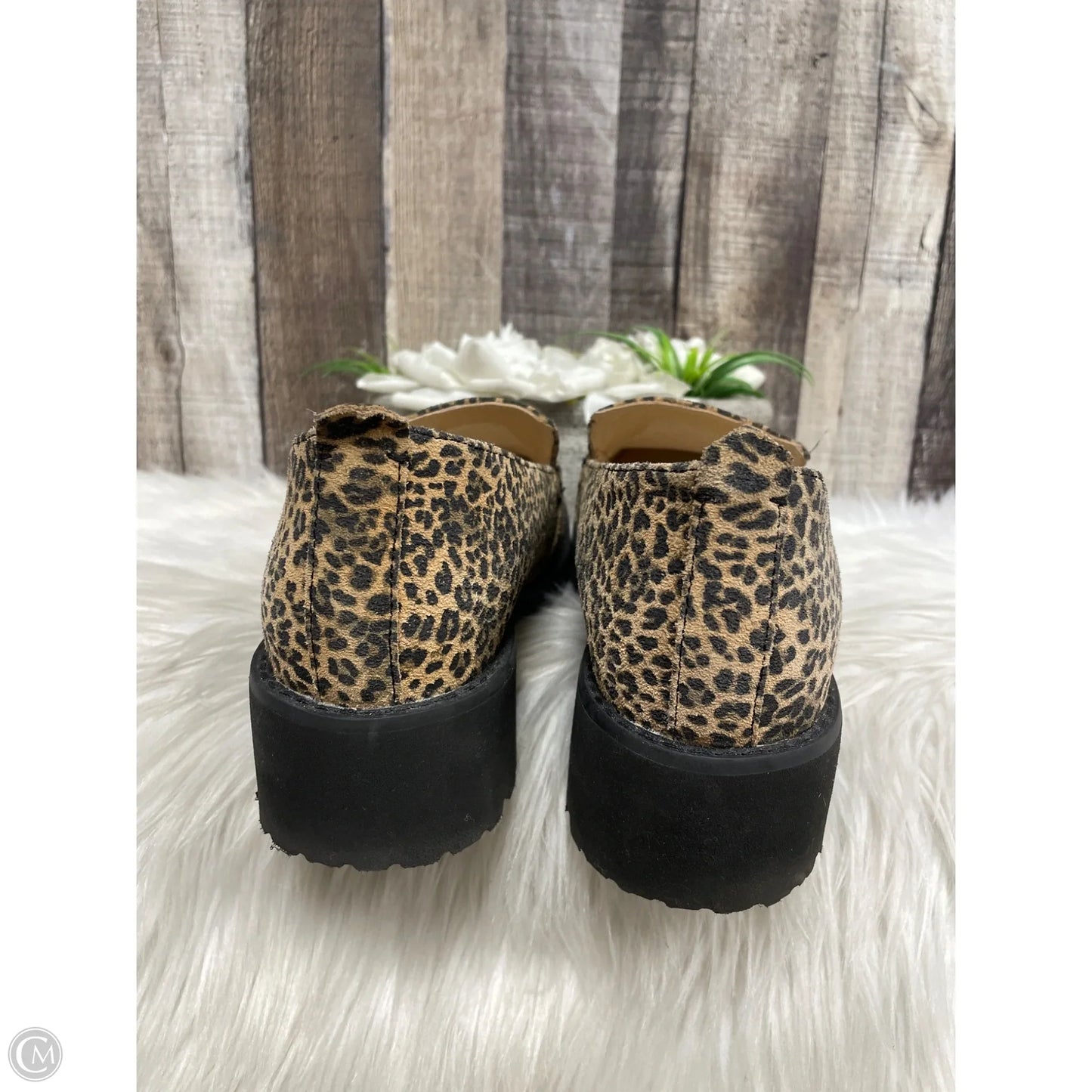 Shoes Heels Wedge By Hush Puppies In Animal Print, Size: 9.5