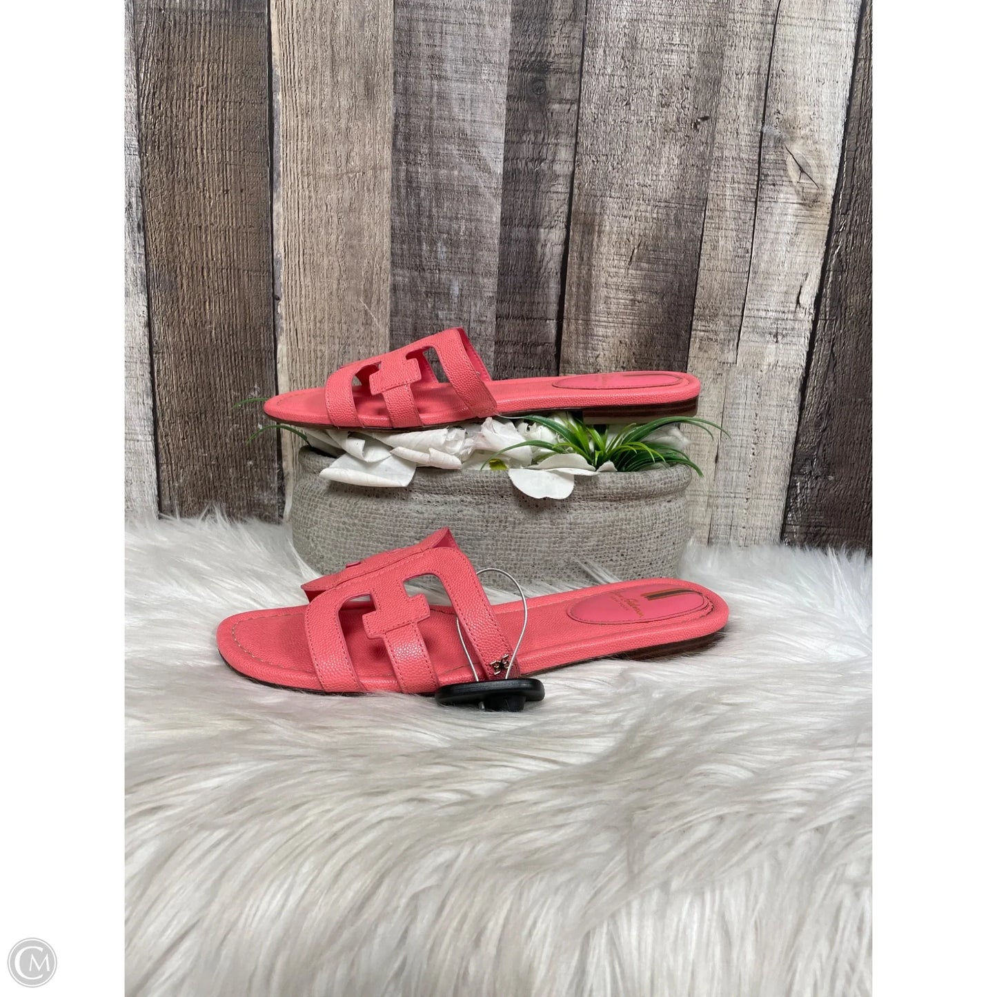 Sandals Flats By Sam Edelman In Pink, Size: 9