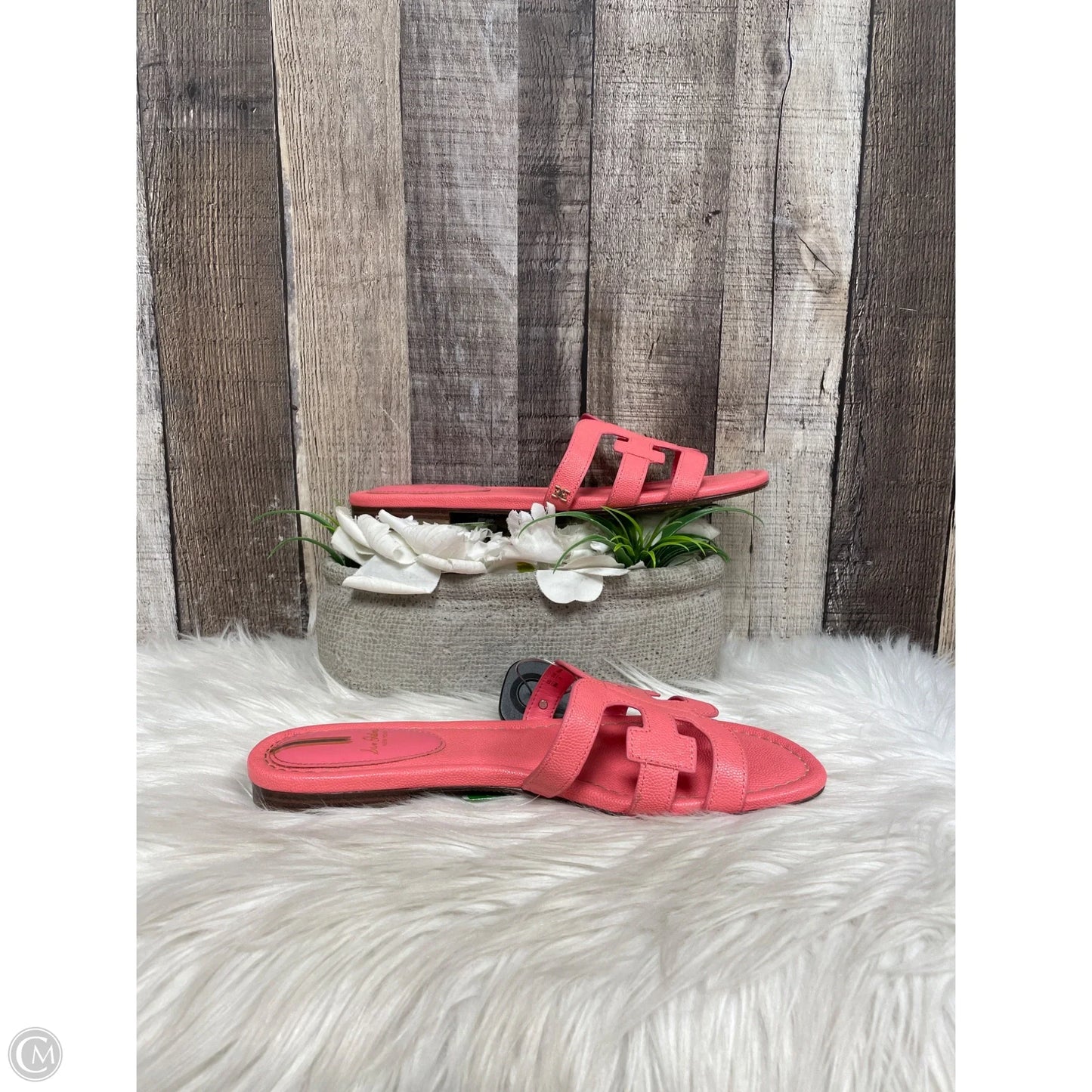 Sandals Flats By Sam Edelman In Pink, Size: 9