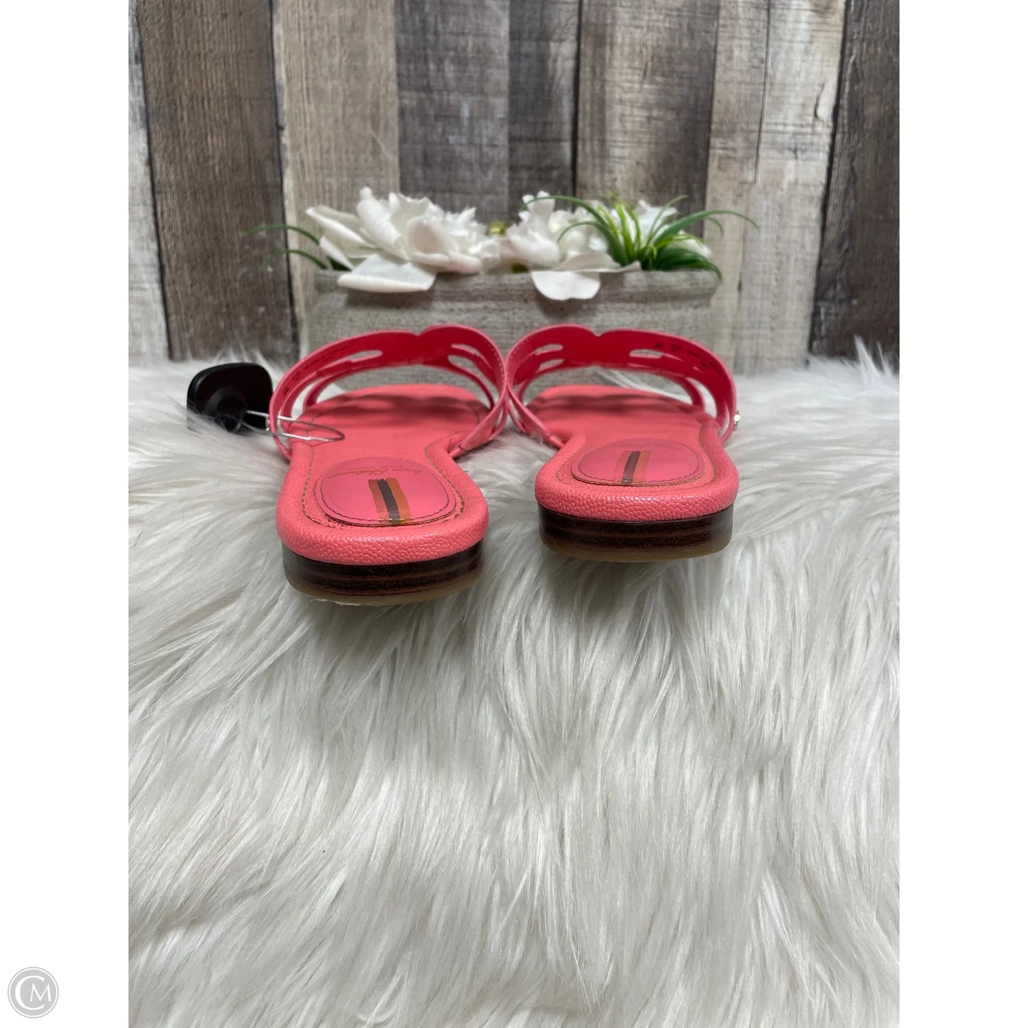 Sandals Flats By Sam Edelman In Pink, Size: 9