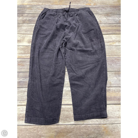 Pants Other By Wild Fable In Grey, Size: Xxl