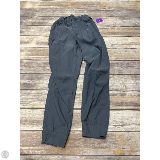 Athletic Pants By Eddie Bauer In Blue, Size: 12