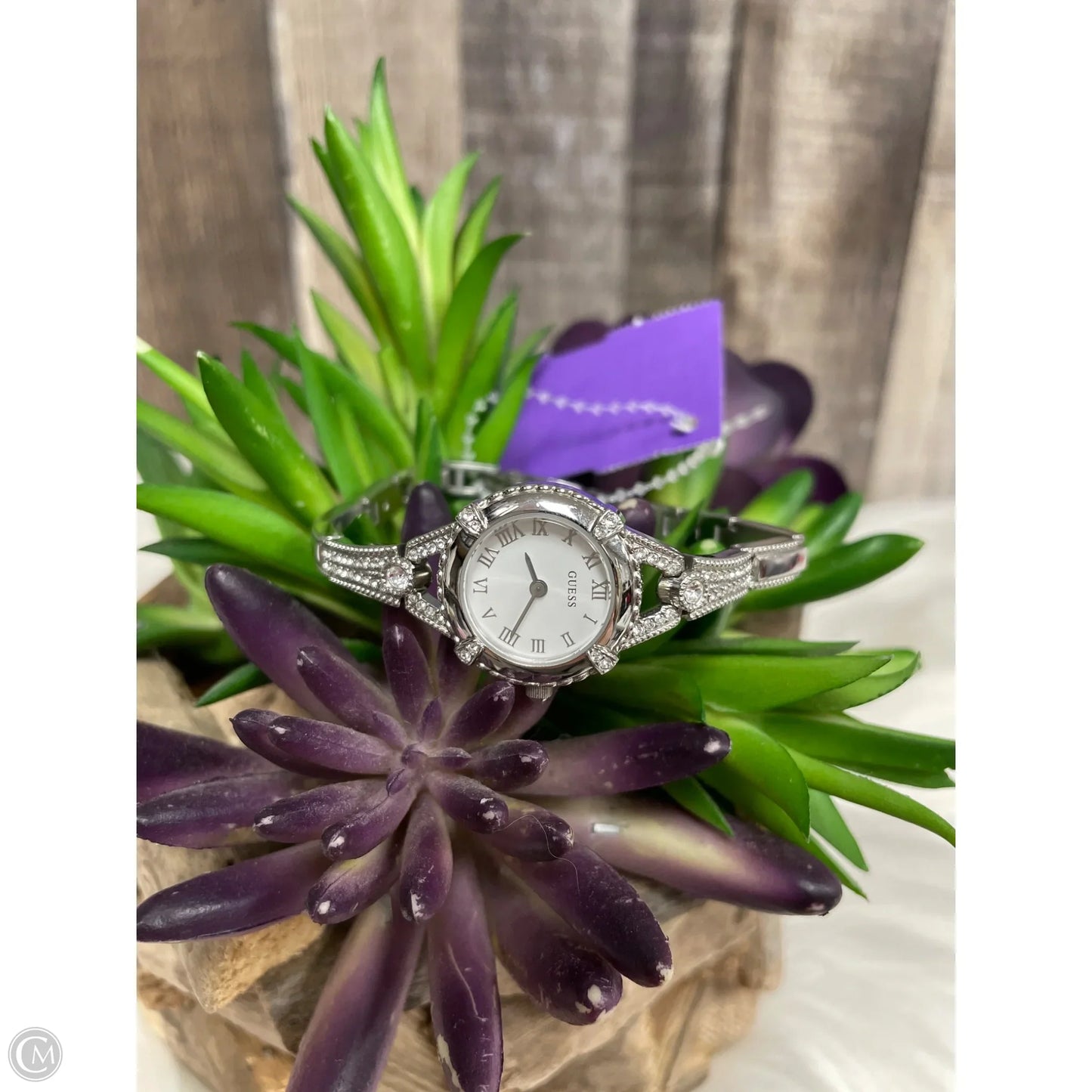 Watch By Guess