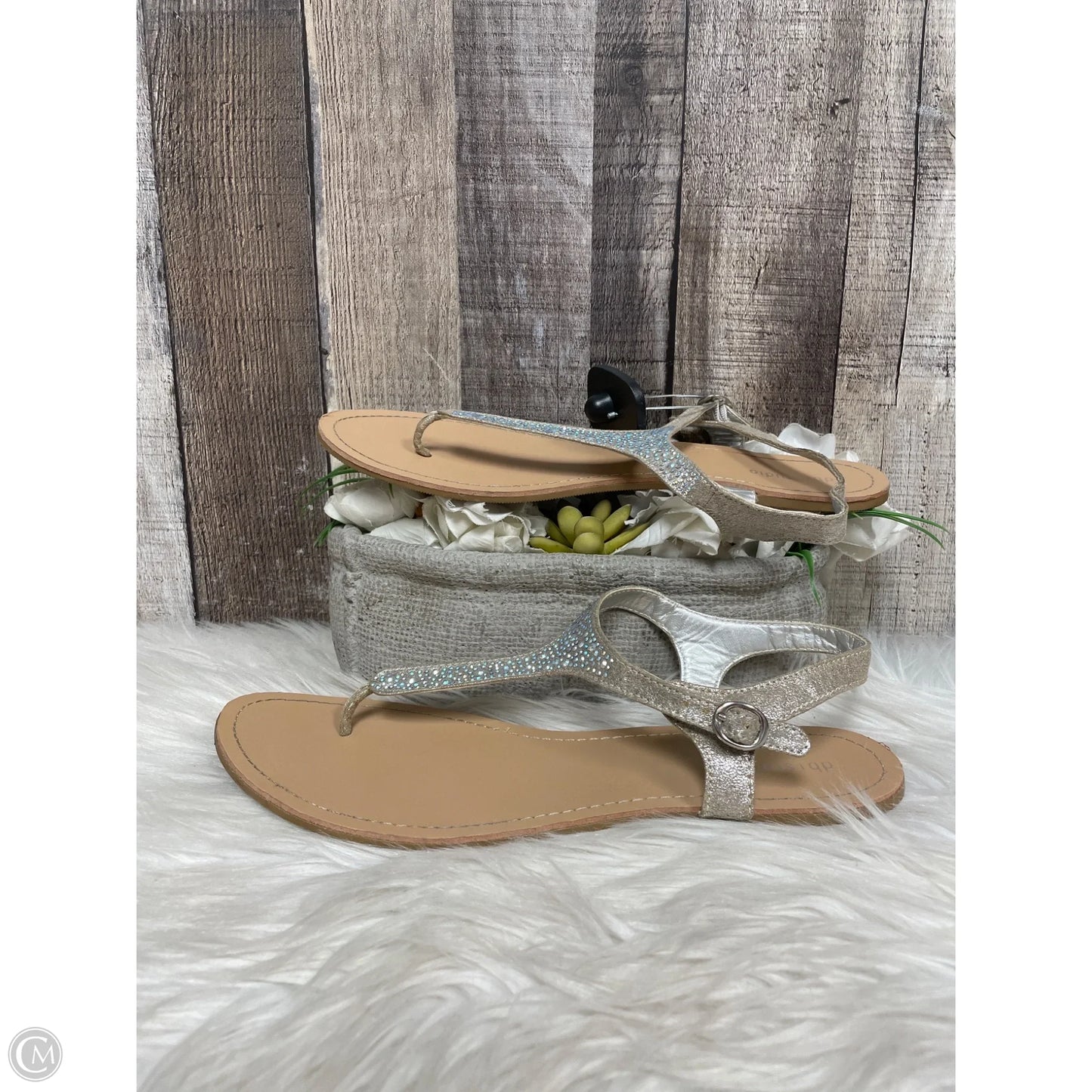 Sandals Flats By Cme In Grey, Size: 11