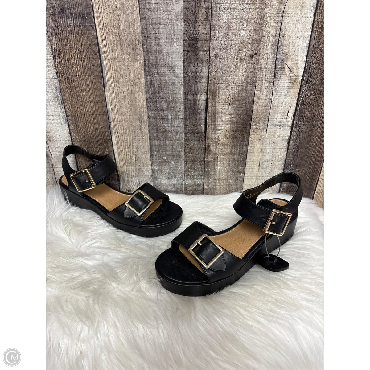 Sandals Heels Platform By Report In Black, Size: 9.5