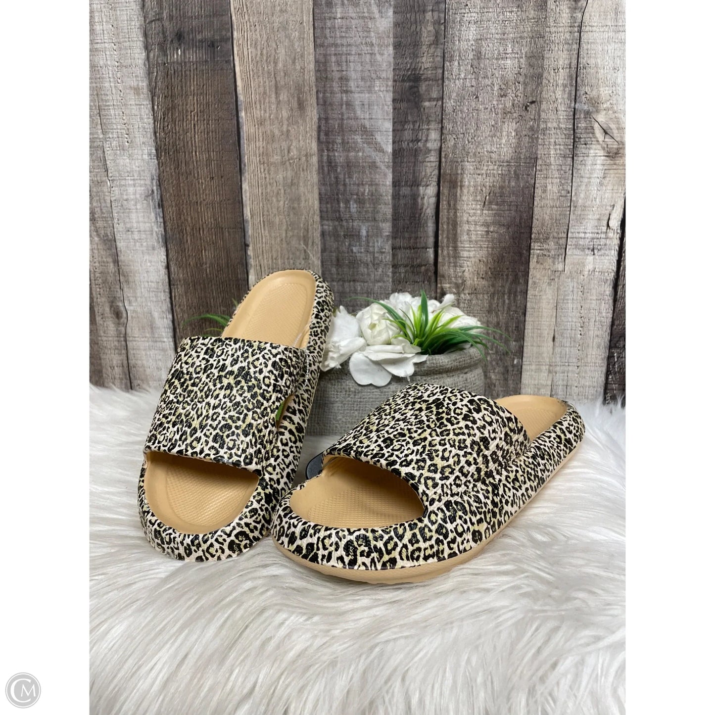 Sandals Flip Flops By Cme In Tan, Size: 10