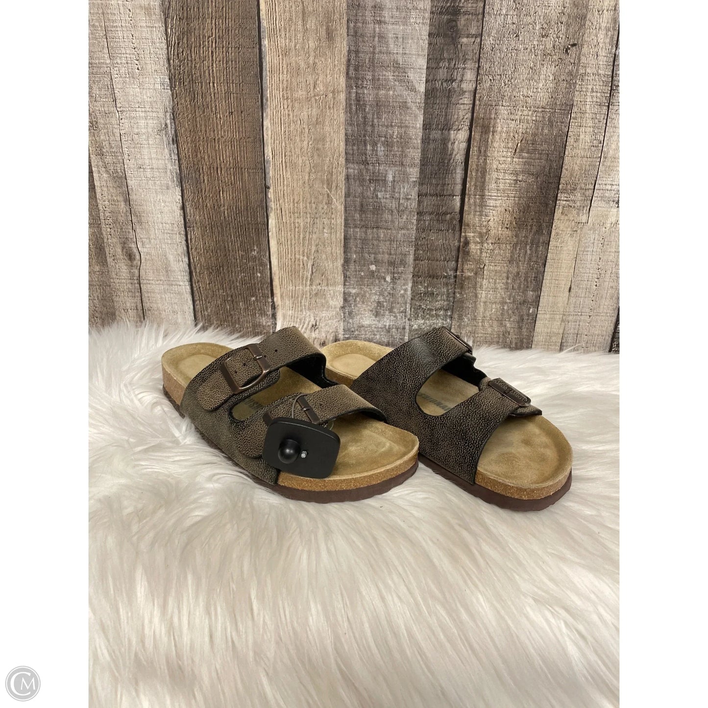 Sandals Flats By Cushionaire In Brown, Size: 7