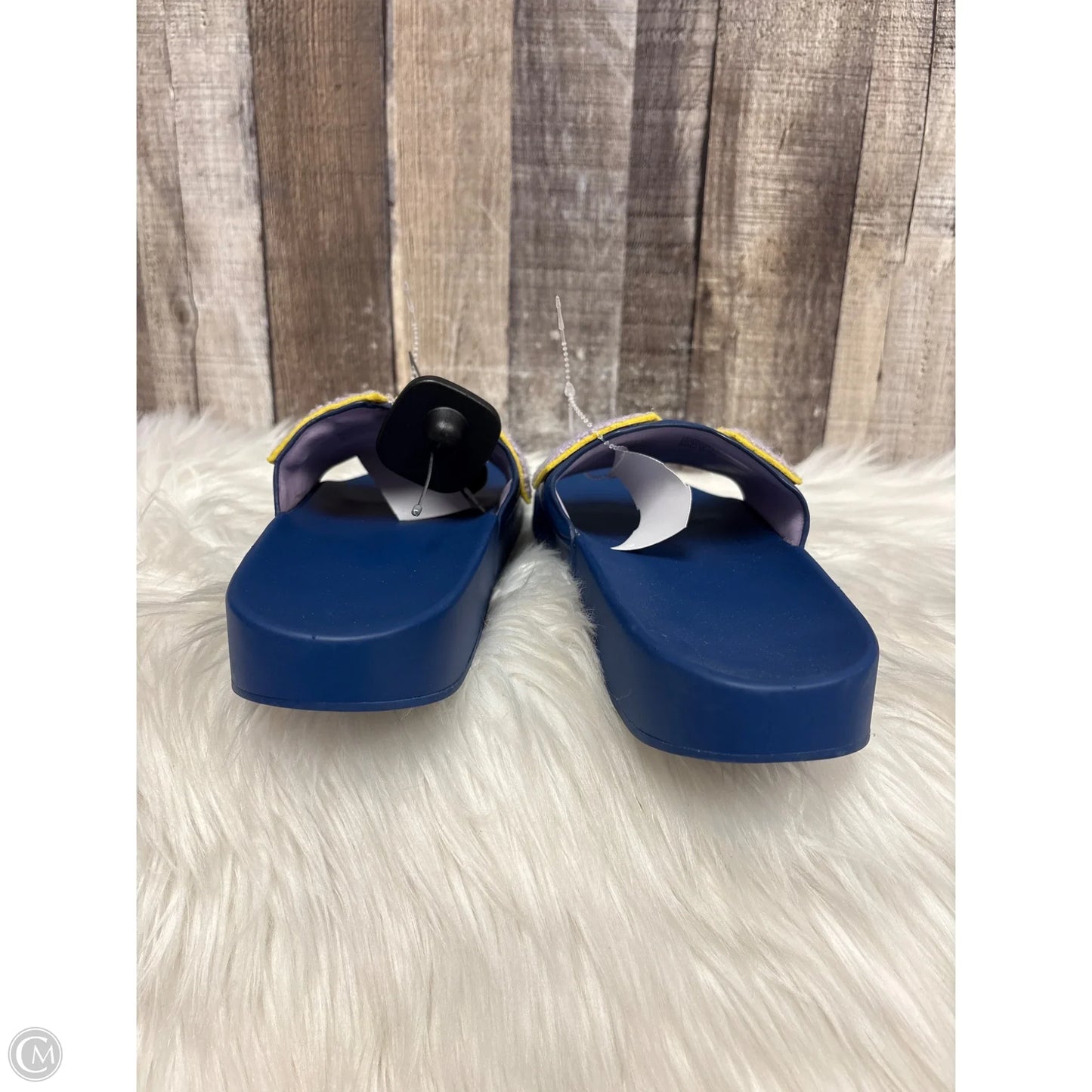 Sandals Designer By Tory Burch In Blue & Purple, Size: 8