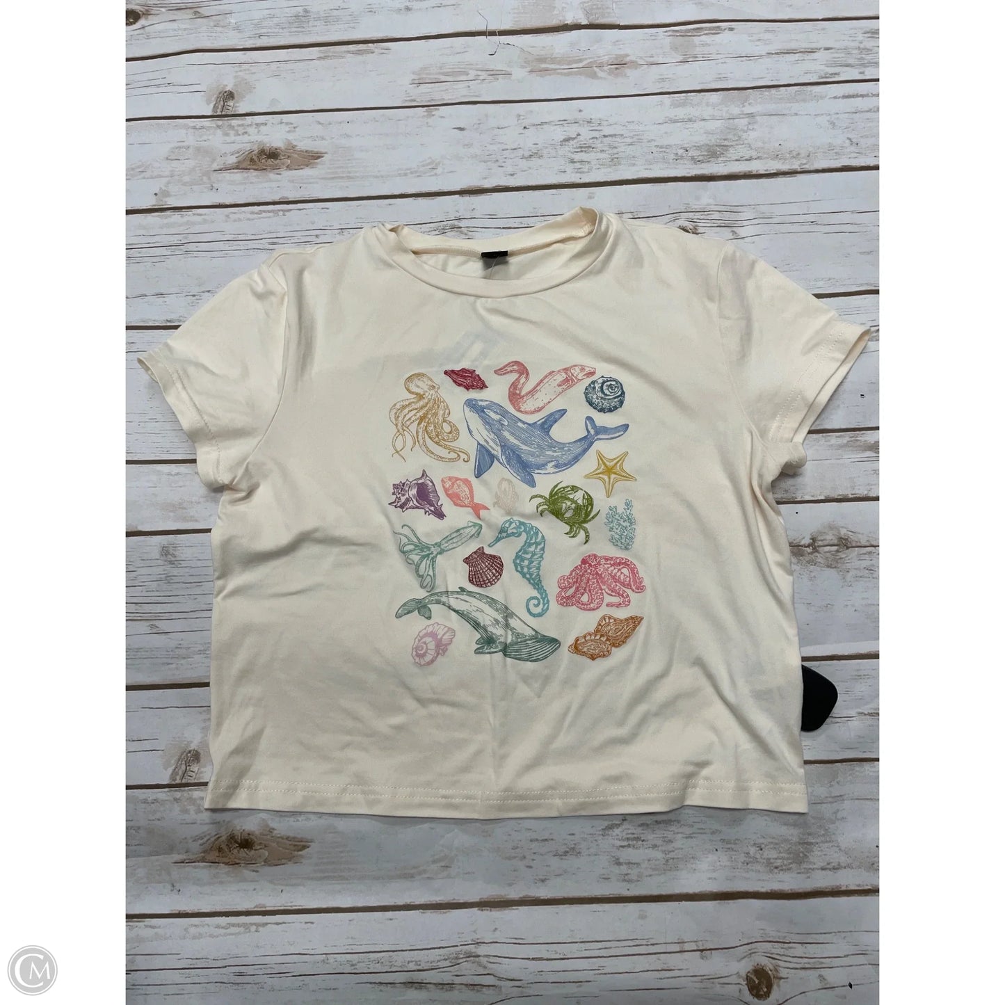 Top Short Sleeve By Shein In Multi-colored, Size: L