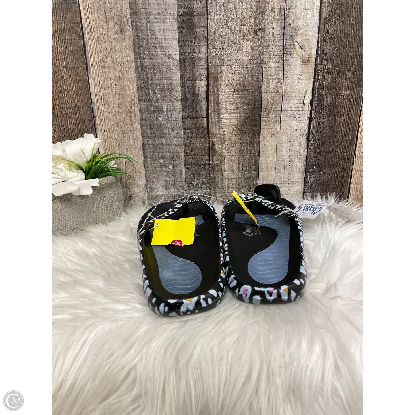 Sandals Flip Flops By Cme In Multi-colored, Size: 12