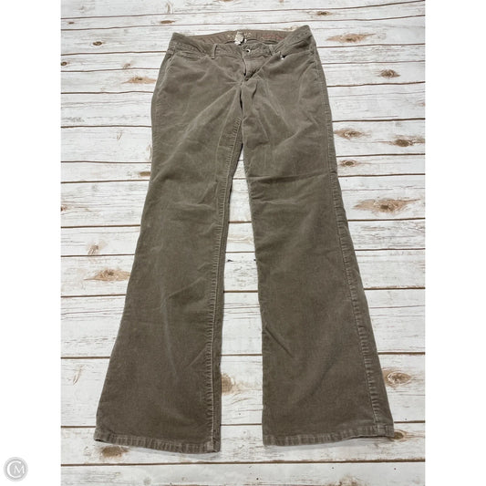 Pants Corduroy By Sonoma In Brown, Size: 10
