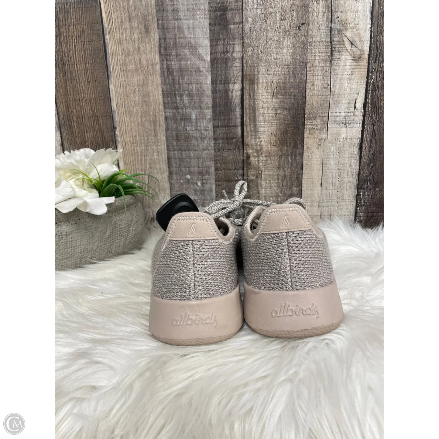Shoes Sneakers By Allbirds In Grey, Size: 8