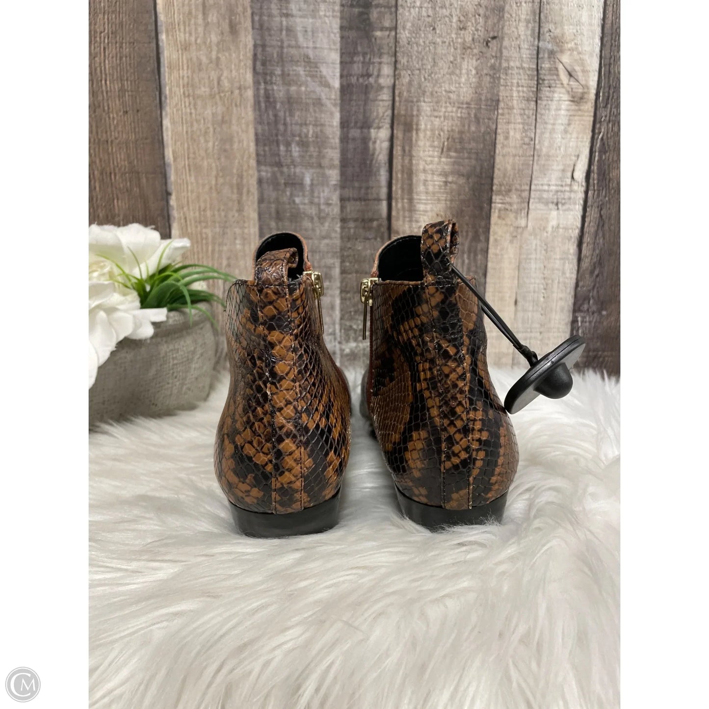 Boots Ankle Heels By Marc Fisher In Snakeskin Print, Size: 6