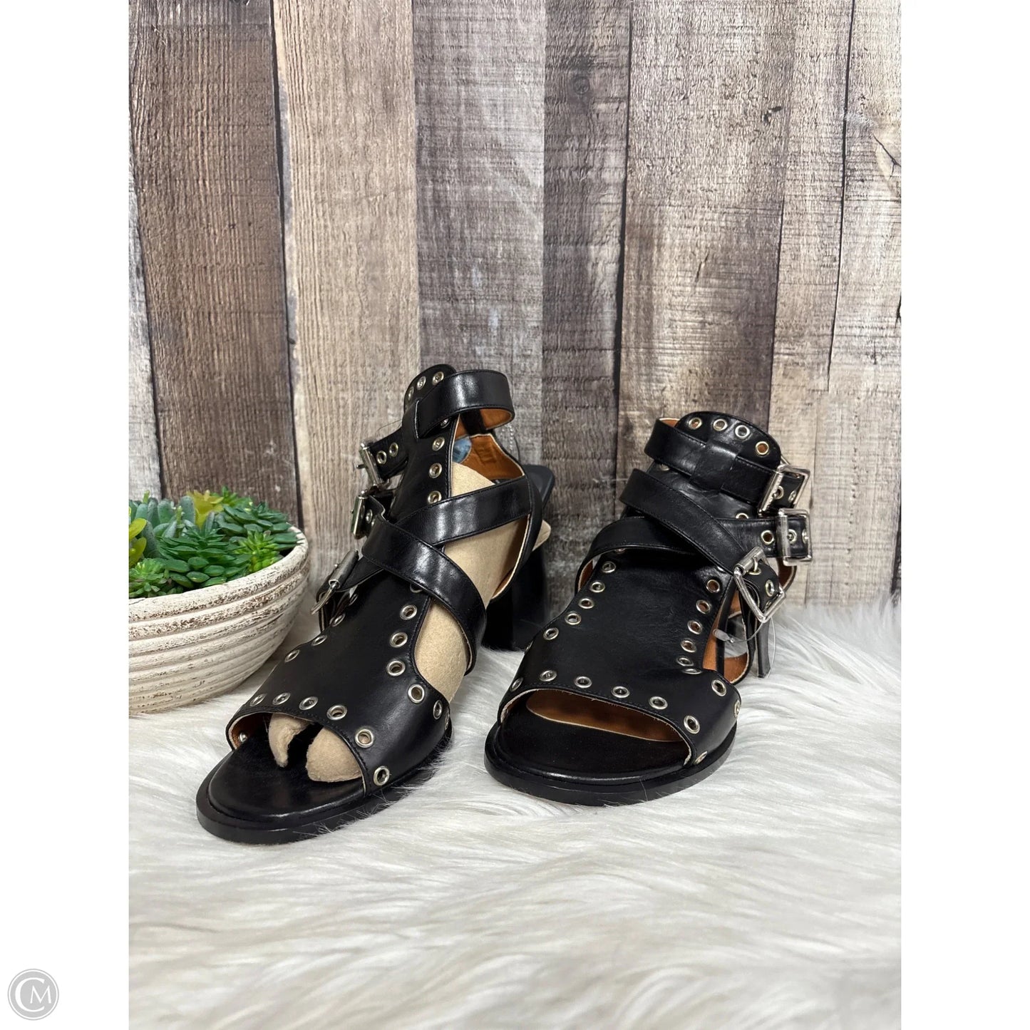 Shoes Designer By Derek Lam In Black, Size: 7.5