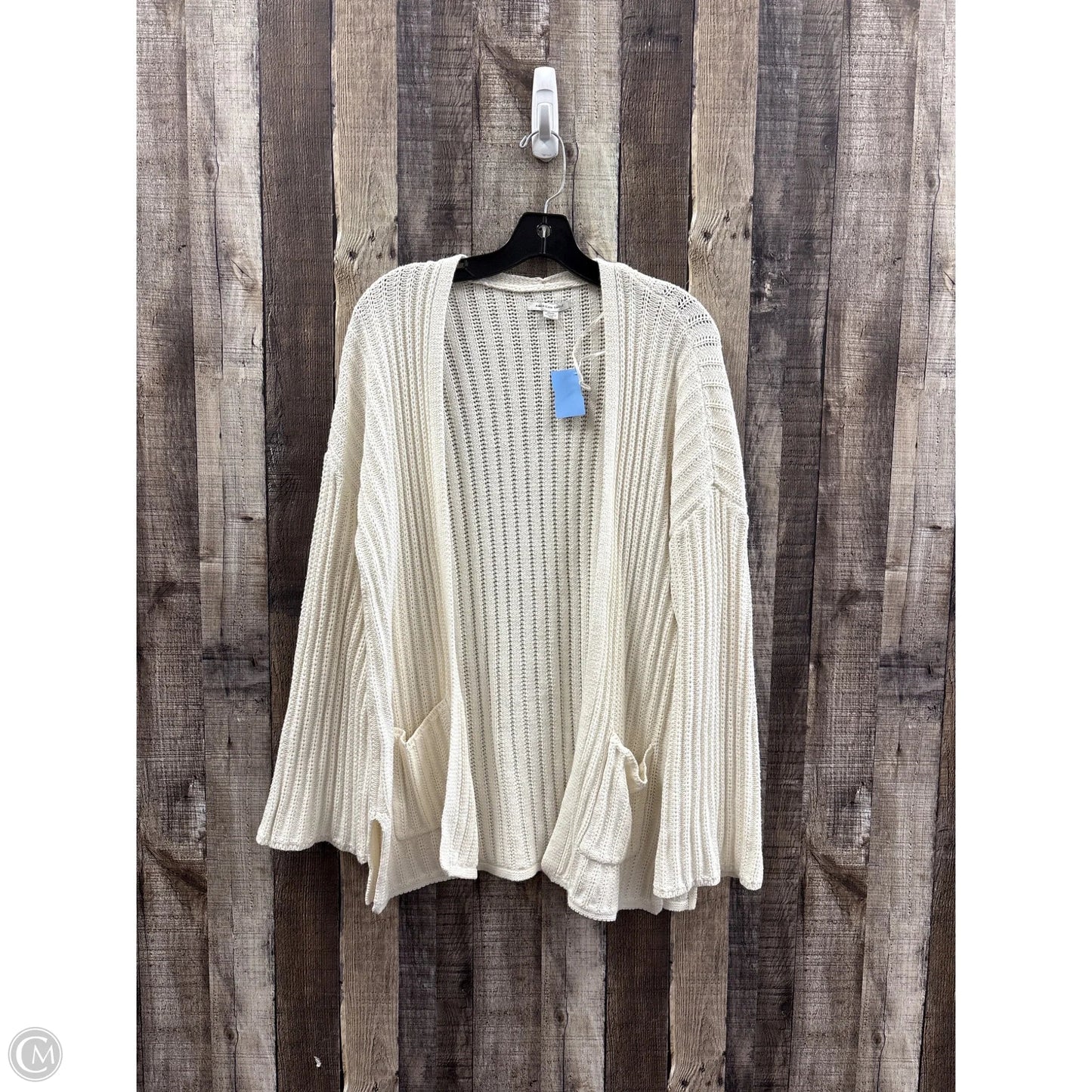Sweater Cardigan By American Eagle In Ivory, Size: M