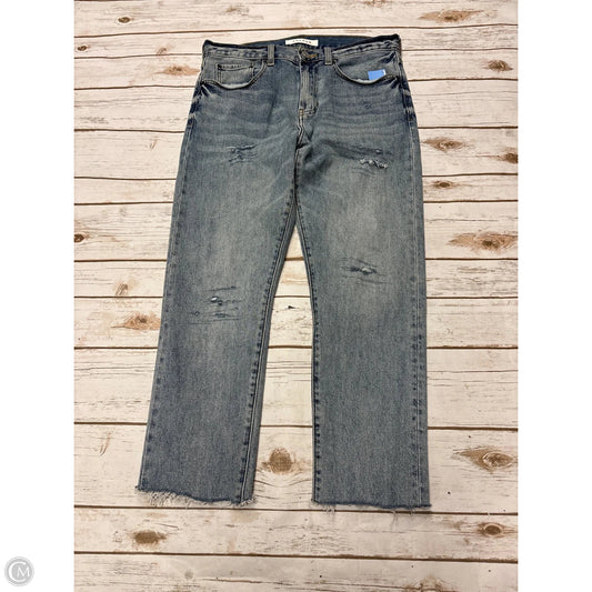 Jeans Straight By Pacsun In Blue Denim, Size: 10