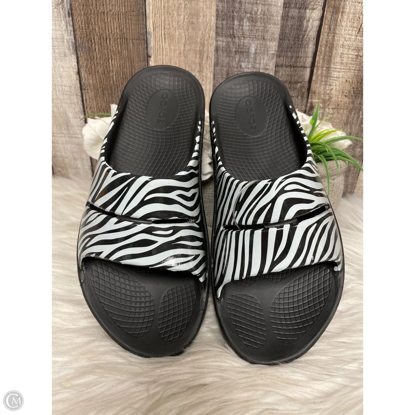 Sandals Flats By Oofos In Zebra Print, Size: 8