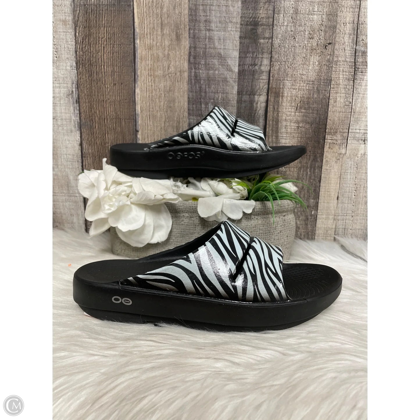 Sandals Flats By Oofos In Zebra Print, Size: 8