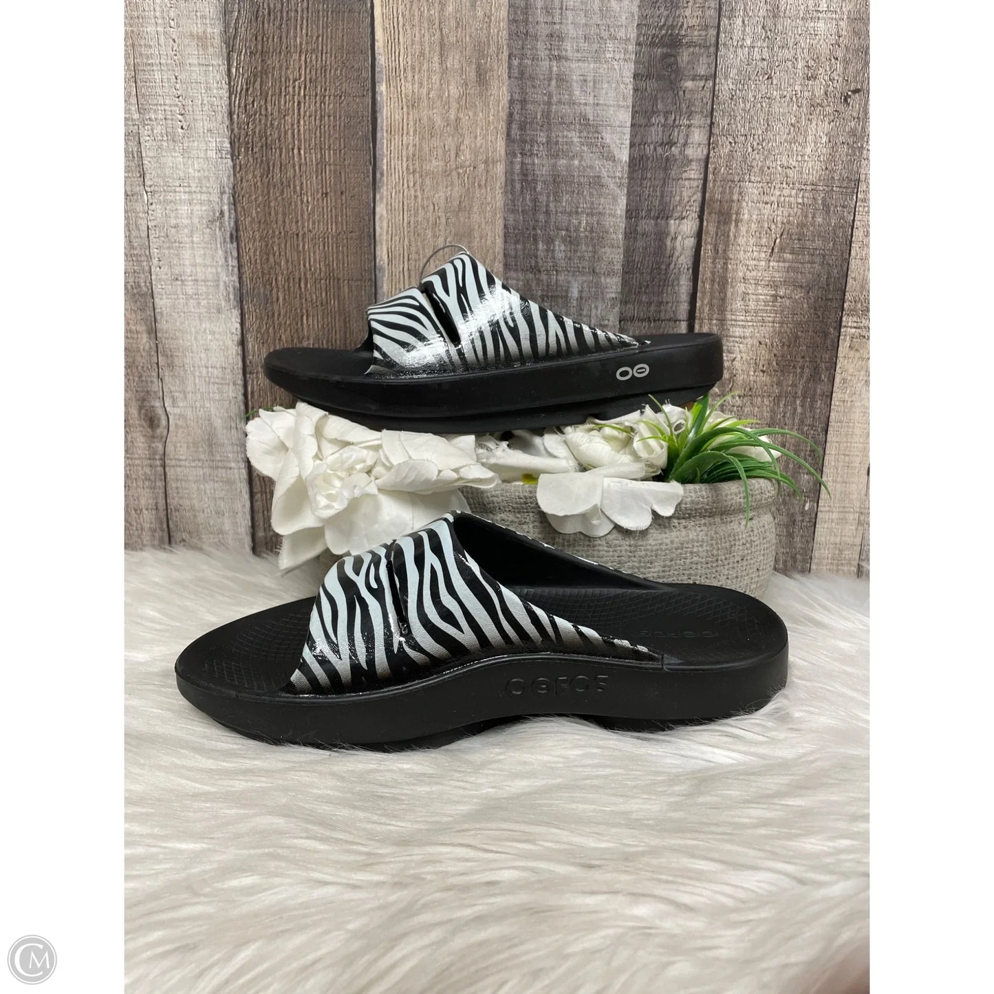 Sandals Flats By Oofos In Zebra Print, Size: 8