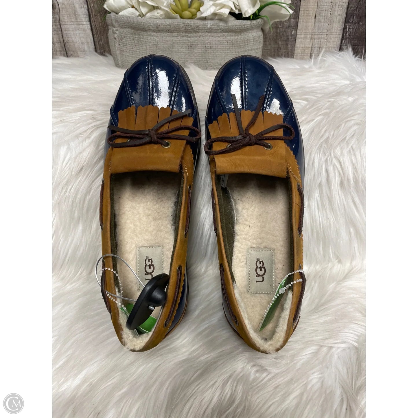 Shoes Designer By Ugg In Navy, Size: 10